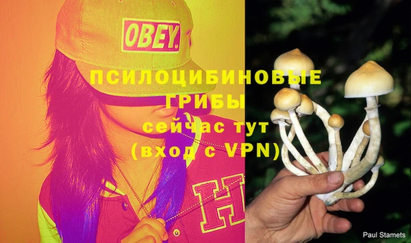 бутират Балахна